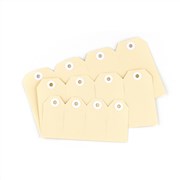 Avery 12000 Shipping Tags Size 2 Buff 82 x 41mm Pack 1000