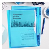 Avery 47920 Blue Transparent Plastic Project File