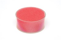 Sponge Bowl